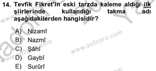 2. Abdülhamit Dönemi Türk Edebiyatı Dersi 2018 - 2019 Yılı Yaz Okulu Sınavı 14. Soru