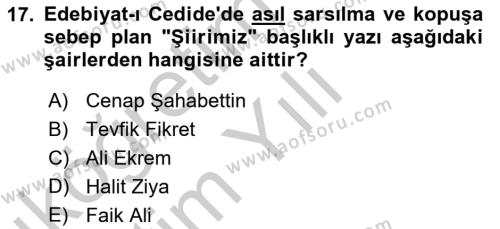 2. Abdülhamit Dönemi Türk Edebiyatı Dersi 2018 - 2019 Yılı Yaz Okulu Sınavı 17. Soru