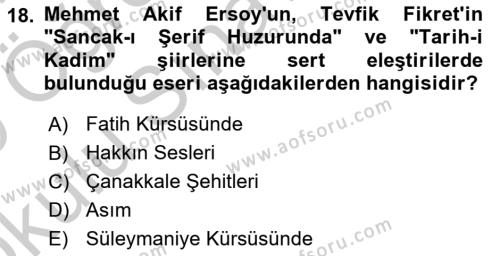 2. Abdülhamit Dönemi Türk Edebiyatı Dersi 2018 - 2019 Yılı Yaz Okulu Sınavı 18. Soru