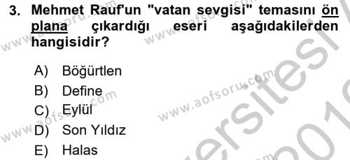 2. Abdülhamit Dönemi Türk Edebiyatı Dersi 2018 - 2019 Yılı Yaz Okulu Sınavı 3. Soru