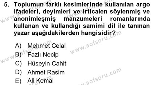 2. Abdülhamit Dönemi Türk Edebiyatı Dersi 2018 - 2019 Yılı Yaz Okulu Sınavı 5. Soru