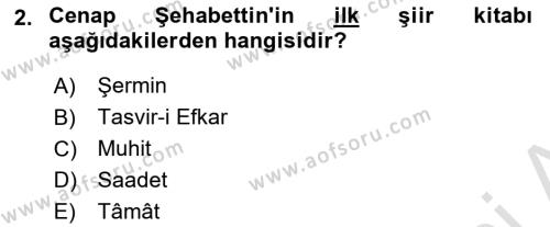 2. Abdülhamit Dönemi Türk Edebiyatı Dersi 2020 - 2021 Yılı Yaz Okulu Sınavı 2. Soru