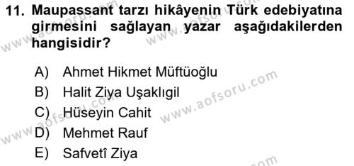 2. Abdülhamit Dönemi Türk Edebiyatı Dersi 2021 - 2022 Yılı (Final) Dönem Sonu Sınavı 11. Soru