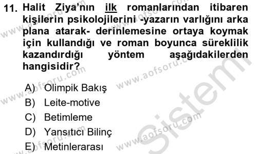 2. Abdülhamit Dönemi Türk Edebiyatı Dersi 2021 - 2022 Yılı Yaz Okulu Sınavı 11. Soru