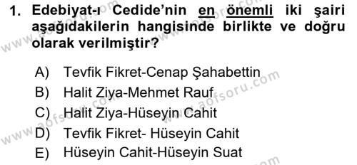 2. Abdülhamit Dönemi Türk Edebiyatı Dersi 2022 - 2023 Yılı (Vize) Ara Sınavı 1. Soru