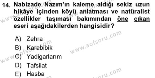 2. Abdülhamit Dönemi Türk Edebiyatı Dersi 2022 - 2023 Yılı (Vize) Ara Sınavı 14. Soru