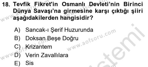 2. Abdülhamit Dönemi Türk Edebiyatı Dersi 2022 - 2023 Yılı (Vize) Ara Sınavı 18. Soru