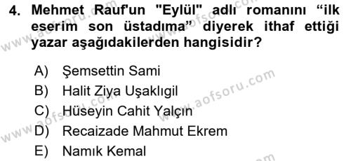 2. Abdülhamit Dönemi Türk Edebiyatı Dersi 2022 - 2023 Yılı (Vize) Ara Sınavı 4. Soru