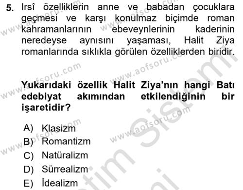 2. Abdülhamit Dönemi Türk Edebiyatı Dersi 2022 - 2023 Yılı (Vize) Ara Sınavı 5. Soru