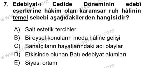 2. Abdülhamit Dönemi Türk Edebiyatı Dersi 2022 - 2023 Yılı (Vize) Ara Sınavı 7. Soru