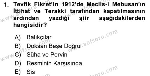 2. Abdülhamit Dönemi Türk Edebiyatı Dersi 2022 - 2023 Yılı (Final) Dönem Sonu Sınavı 1. Soru