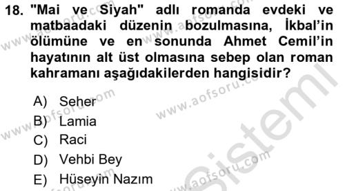 2. Abdülhamit Dönemi Türk Edebiyatı Dersi 2022 - 2023 Yılı (Final) Dönem Sonu Sınavı 18. Soru