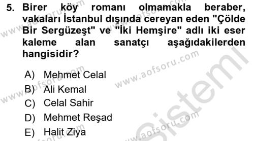 2. Abdülhamit Dönemi Türk Edebiyatı Dersi 2022 - 2023 Yılı (Final) Dönem Sonu Sınavı 5. Soru