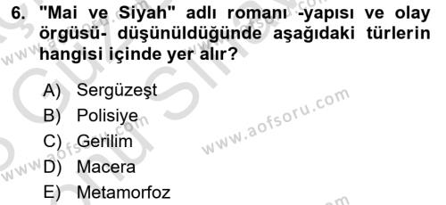 2. Abdülhamit Dönemi Türk Edebiyatı Dersi 2022 - 2023 Yılı (Final) Dönem Sonu Sınavı 6. Soru