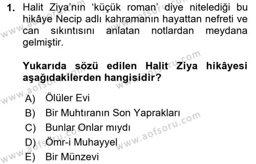 2. Abdülhamit Dönemi Türk Edebiyatı Dersi 2022 - 2023 Yılı Yaz Okulu Sınavı 1. Soru