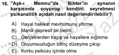 2. Abdülhamit Dönemi Türk Edebiyatı Dersi 2022 - 2023 Yılı Yaz Okulu Sınavı 16. Soru