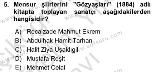 2. Abdülhamit Dönemi Türk Edebiyatı Dersi 2022 - 2023 Yılı Yaz Okulu Sınavı 5. Soru