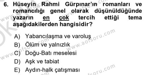 2. Abdülhamit Dönemi Türk Edebiyatı Dersi 2022 - 2023 Yılı Yaz Okulu Sınavı 6. Soru