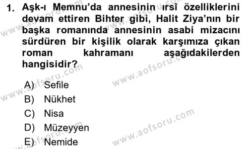 2. Abdülhamit Dönemi Türk Edebiyatı Dersi 2023 - 2024 Yılı (Vize) Ara Sınavı 1. Soru