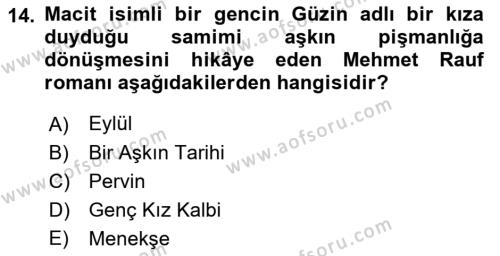 2. Abdülhamit Dönemi Türk Edebiyatı Dersi 2023 - 2024 Yılı (Vize) Ara Sınavı 14. Soru