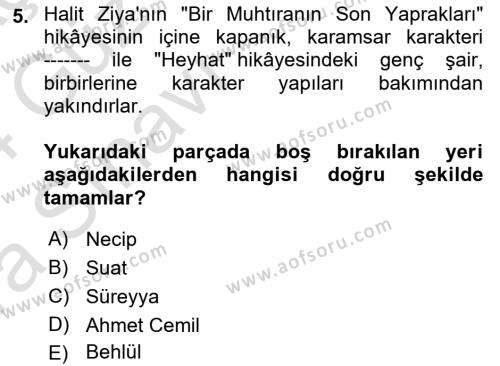 2. Abdülhamit Dönemi Türk Edebiyatı Dersi 2023 - 2024 Yılı (Vize) Ara Sınavı 5. Soru