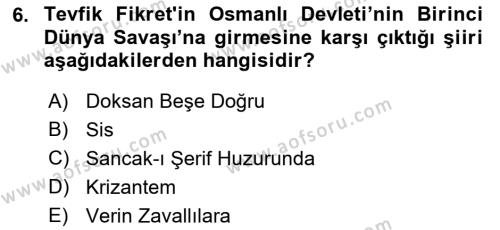 2. Abdülhamit Dönemi Türk Edebiyatı Dersi 2023 - 2024 Yılı (Vize) Ara Sınavı 6. Soru