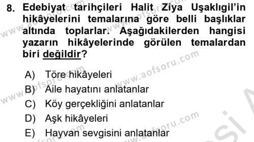 2. Abdülhamit Dönemi Türk Edebiyatı Dersi 2023 - 2024 Yılı (Vize) Ara Sınavı 8. Soru