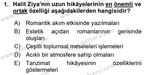 2. Abdülhamit Dönemi Türk Edebiyatı Dersi 2023 - 2024 Yılı Yaz Okulu Sınavı 1. Soru