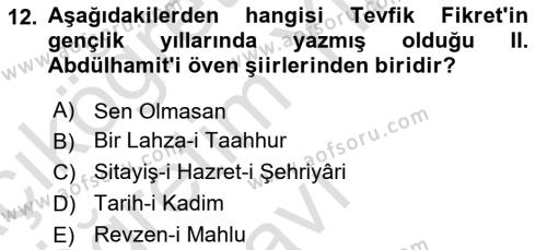 2. Abdülhamit Dönemi Türk Edebiyatı Dersi 2023 - 2024 Yılı Yaz Okulu Sınavı 12. Soru