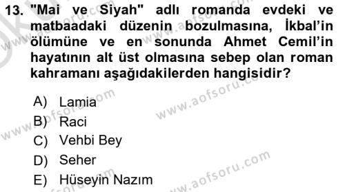 2. Abdülhamit Dönemi Türk Edebiyatı Dersi 2023 - 2024 Yılı Yaz Okulu Sınavı 13. Soru