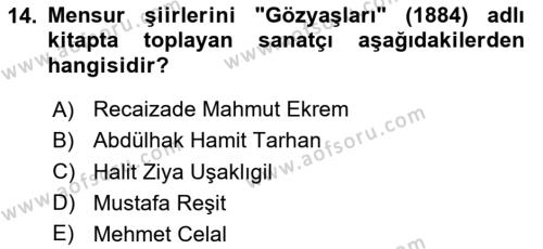 2. Abdülhamit Dönemi Türk Edebiyatı Dersi 2023 - 2024 Yılı Yaz Okulu Sınavı 14. Soru