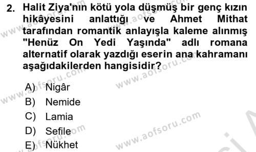 2. Abdülhamit Dönemi Türk Edebiyatı Dersi 2023 - 2024 Yılı Yaz Okulu Sınavı 2. Soru