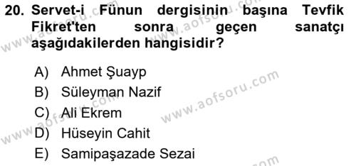 2. Abdülhamit Dönemi Türk Edebiyatı Dersi 2023 - 2024 Yılı Yaz Okulu Sınavı 20. Soru