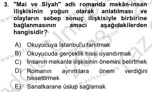 2. Abdülhamit Dönemi Türk Edebiyatı Dersi 2023 - 2024 Yılı Yaz Okulu Sınavı 3. Soru