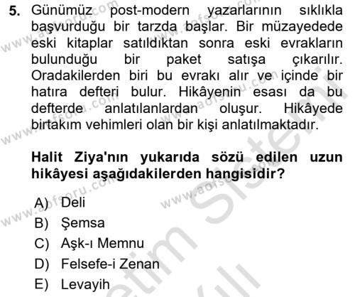 2. Abdülhamit Dönemi Türk Edebiyatı Dersi 2023 - 2024 Yılı Yaz Okulu Sınavı 5. Soru