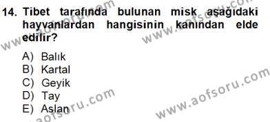 Türk Edebiyatının Mitolojik Kaynakları Dersi 2012 - 2013 Yılı (Final) Dönem Sonu Sınavı 14. Soru