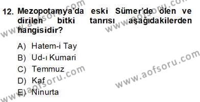 Türk Edebiyatının Mitolojik Kaynakları Dersi 2013 - 2014 Yılı (Final) Dönem Sonu Sınavı 12. Soru