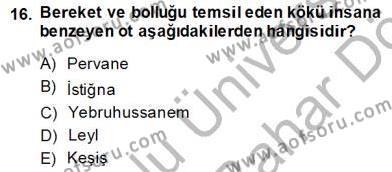 Türk Edebiyatının Mitolojik Kaynakları Dersi 2013 - 2014 Yılı (Final) Dönem Sonu Sınavı 16. Soru