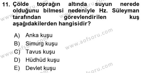 Türk Edebiyatının Mitolojik Kaynakları Dersi 2016 - 2017 Yılı (Final) Dönem Sonu Sınavı 11. Soru