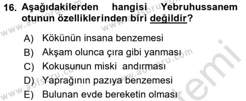 Türk Edebiyatının Mitolojik Kaynakları Dersi 2016 - 2017 Yılı (Final) Dönem Sonu Sınavı 16. Soru