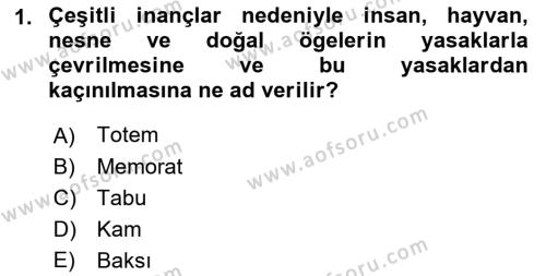 Türk Edebiyatının Mitolojik Kaynakları Dersi 2017 - 2018 Yılı (Vize) Ara Sınavı 1. Soru