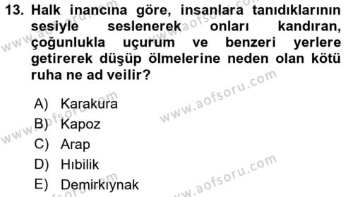 Türk Edebiyatının Mitolojik Kaynakları Dersi 2017 - 2018 Yılı (Vize) Ara Sınavı 13. Soru