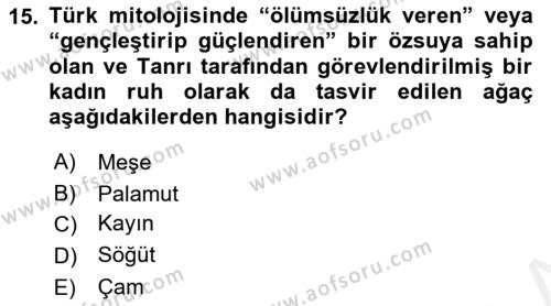 Türk Edebiyatının Mitolojik Kaynakları Dersi 2017 - 2018 Yılı (Vize) Ara Sınavı 15. Soru