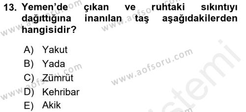 Türk Edebiyatının Mitolojik Kaynakları Dersi 2017 - 2018 Yılı (Final) Dönem Sonu Sınavı 13. Soru