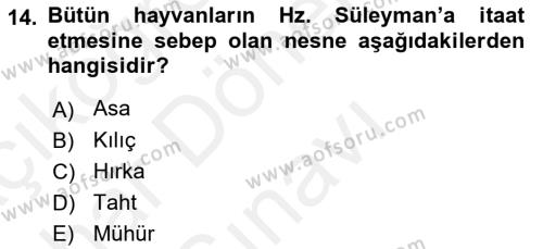 Türk Edebiyatının Mitolojik Kaynakları Dersi 2017 - 2018 Yılı (Final) Dönem Sonu Sınavı 14. Soru