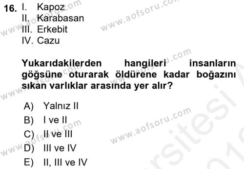 Türk Edebiyatının Mitolojik Kaynakları Dersi 2018 - 2019 Yılı (Vize) Ara Sınavı 16. Soru