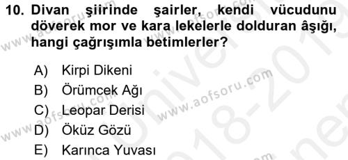 Türk Edebiyatının Mitolojik Kaynakları Dersi 2018 - 2019 Yılı (Final) Dönem Sonu Sınavı 10. Soru