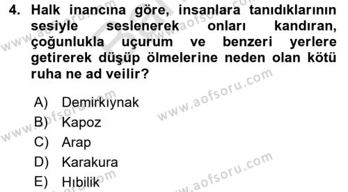 Türk Edebiyatının Mitolojik Kaynakları Dersi 2021 - 2022 Yılı (Final) Dönem Sonu Sınavı 4. Soru