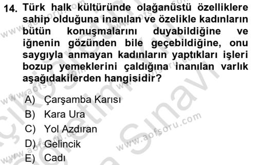 Türk Edebiyatının Mitolojik Kaynakları Dersi 2023 - 2024 Yılı (Vize) Ara Sınavı 14. Soru