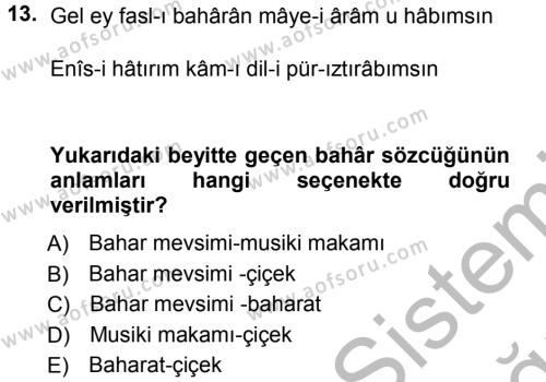 XVIII. Yüzyıl Türk Edebiyatı Dersi 2012 - 2013 Yılı (Vize) Ara Sınavı 13. Soru